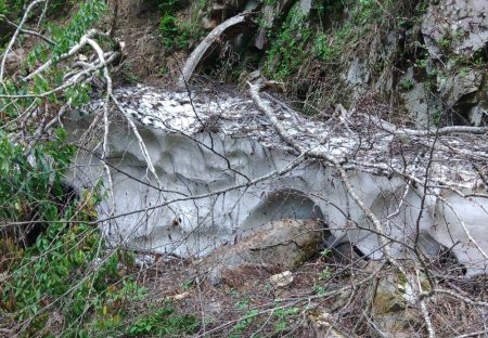 真夏の山でイワナ釣り ～九頭竜川水系～